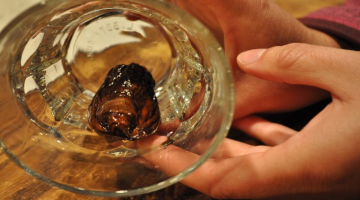 Sourtoe Cocktail: A Regular Cocktail With A Toe Twist