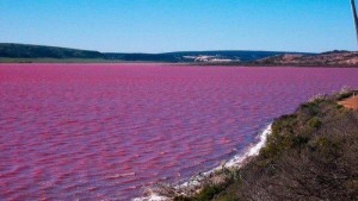 The Beautiful Pink Water Lake in Australia is Not to Miss