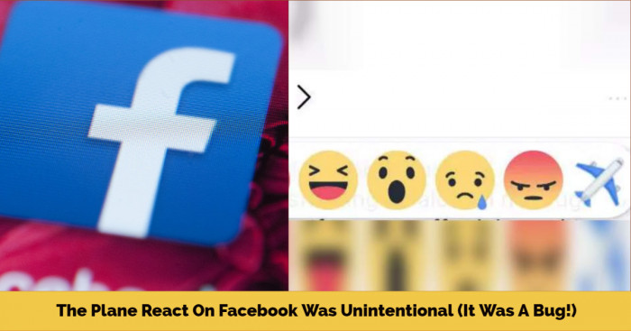 The Plane React On Facebook Was Unintentional (It Was A Bug!)