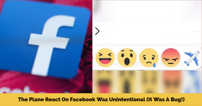 The Plane React On Facebook Was Unintentional (It Was A Bug!)