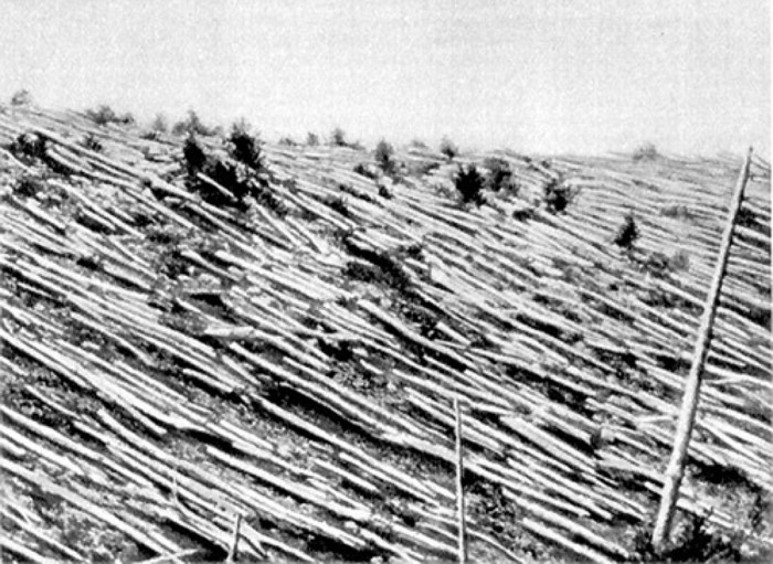 The Tunguska Event - Explosion More Powerful Than The Hiroshima (Atomic Bomb)