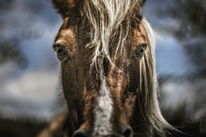 The Wild Portraits This Hiker Took Will Take Your Breath Away