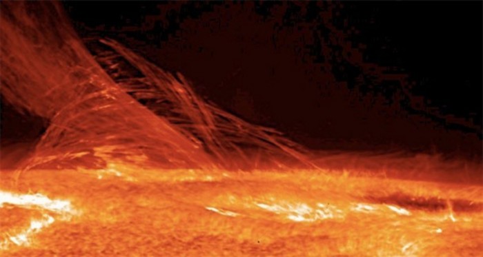 These Amazing Facts Will Boggle Your Mind! #4 is Unbelievable!!