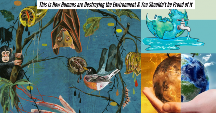 These Shocking Pictures Depict How Humans are Destroying Nature