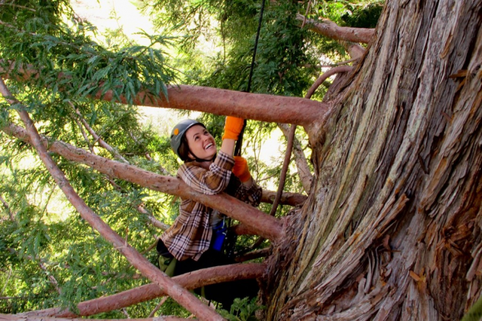This School Trains You To Become A Real Life Tarzan