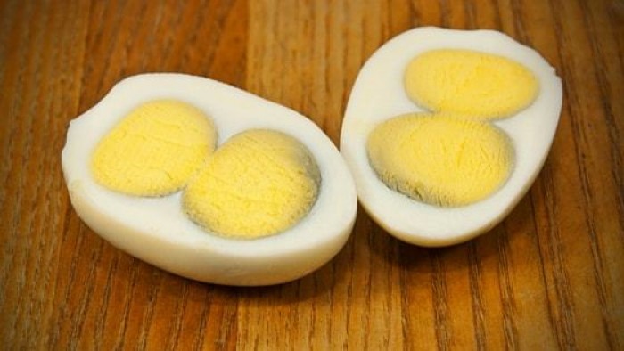 Two Yolks in One Egg | Causes | Significance 
