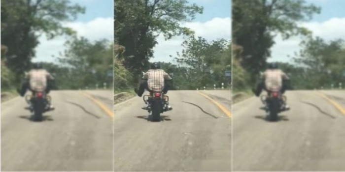 WTF! Snake Tries To Bite This Biker On The Road – Thankfully He Is Safe