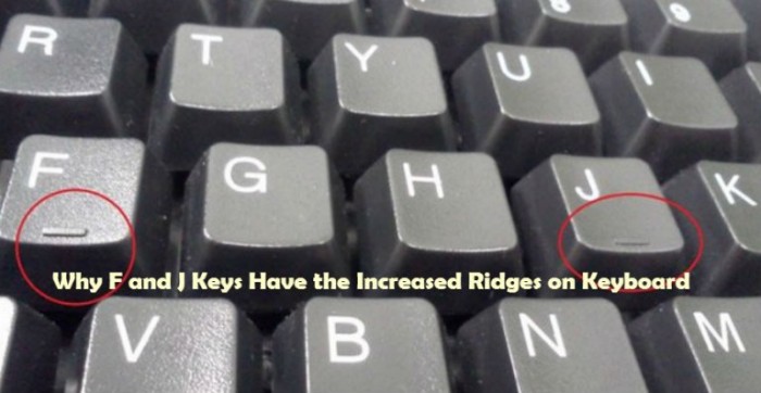 Why Do F and J Keys Have Increased Ridges on Laptop & Computer Keyboard?