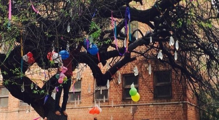 Worshipping “Virgin Tree” Makes You Lose Virginity – A Bizarre Valentine Ritual