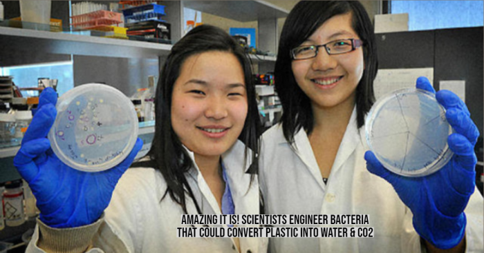 Young Scientists Develop Bacteria to Stop Plastic Pollution! Know How