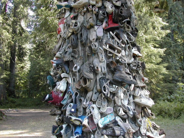 Shoe Trees: The Origin & Bizarre Legends of an Unusual Ritual Prevalent Around the World