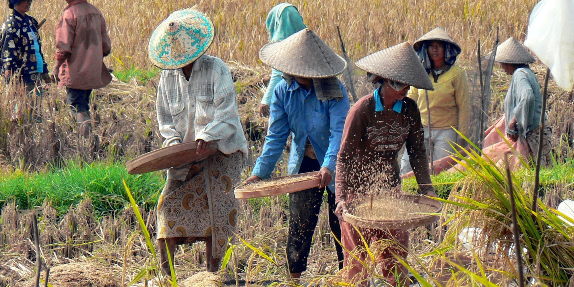 14 Harvest Festivals Celebrated Globally That are Popular for Unique